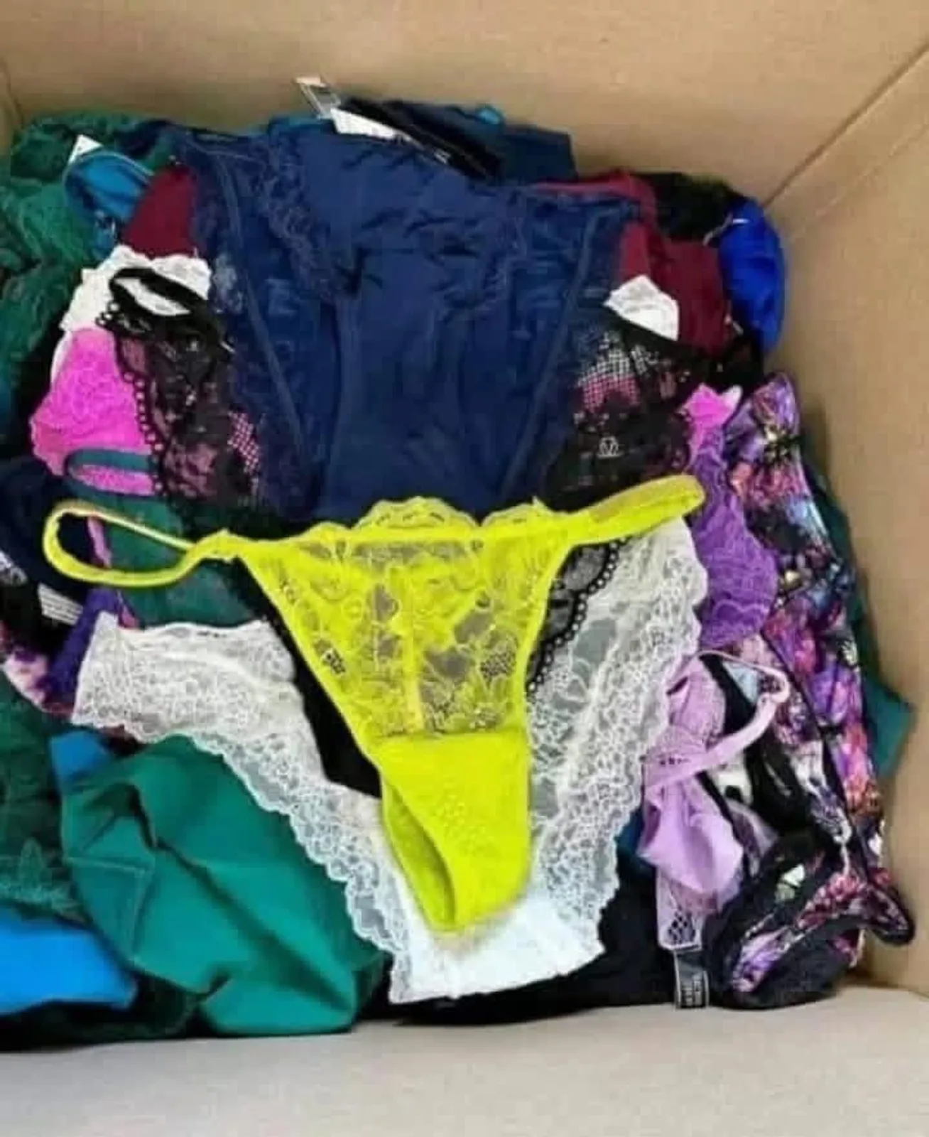 Bras and Panties Liquidation Pallet | Wholesale Lingerie